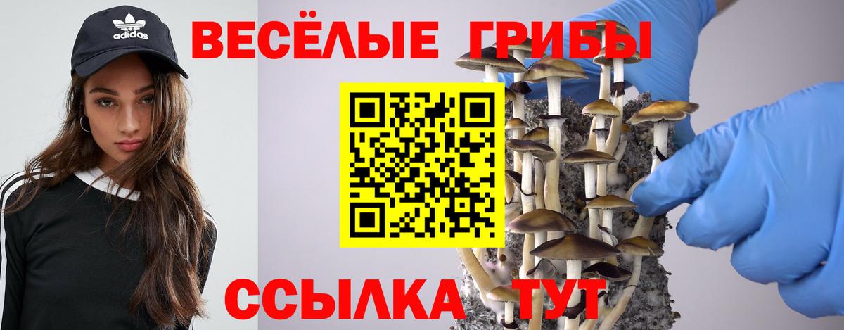 наркошоп  Вход с VPN  Гудермес  Псилоцибиновые грибы мицелий 